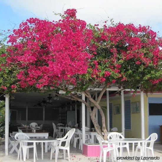***  Anegada Reef Hotel The Settlement Βρετανικές Παρθένοι Νήσοι