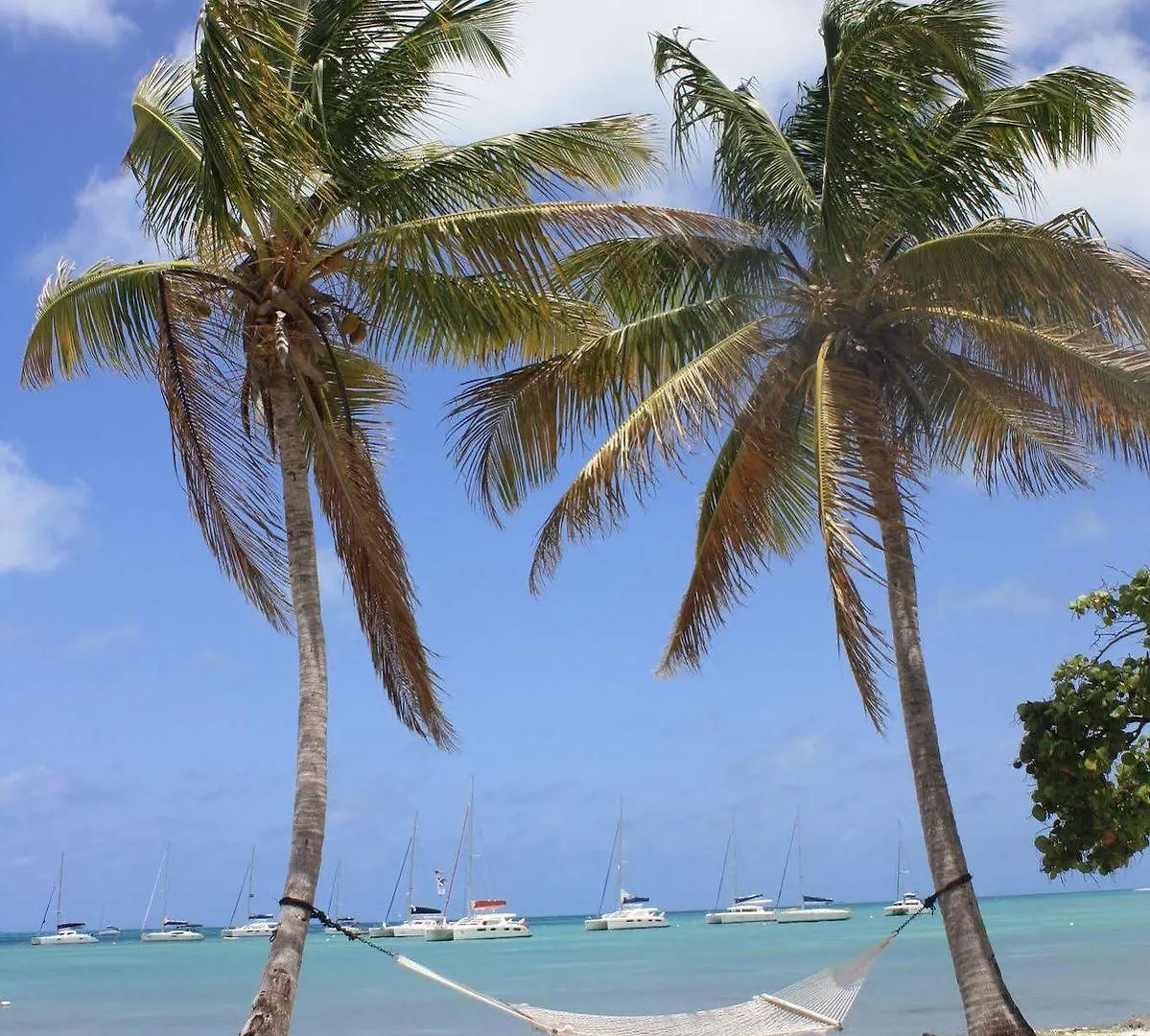 Anegada Reef Hotel The Settlement Βρετανικές Παρθένοι Νήσοι