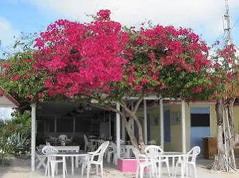 Anegada Reef Hotel The Settlement